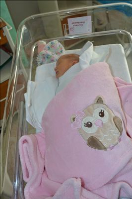 V Nemocnici Prostějov se v loňském roce narodilo 895 dětí