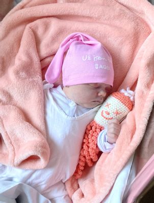 Miminka v porodnicích AGEL přicházejí na svět každý den. Na poslední přestupný rok 2020 se jich ve Vítkovicích, Šternberku, Prostějově a Přerově narodilo sedm